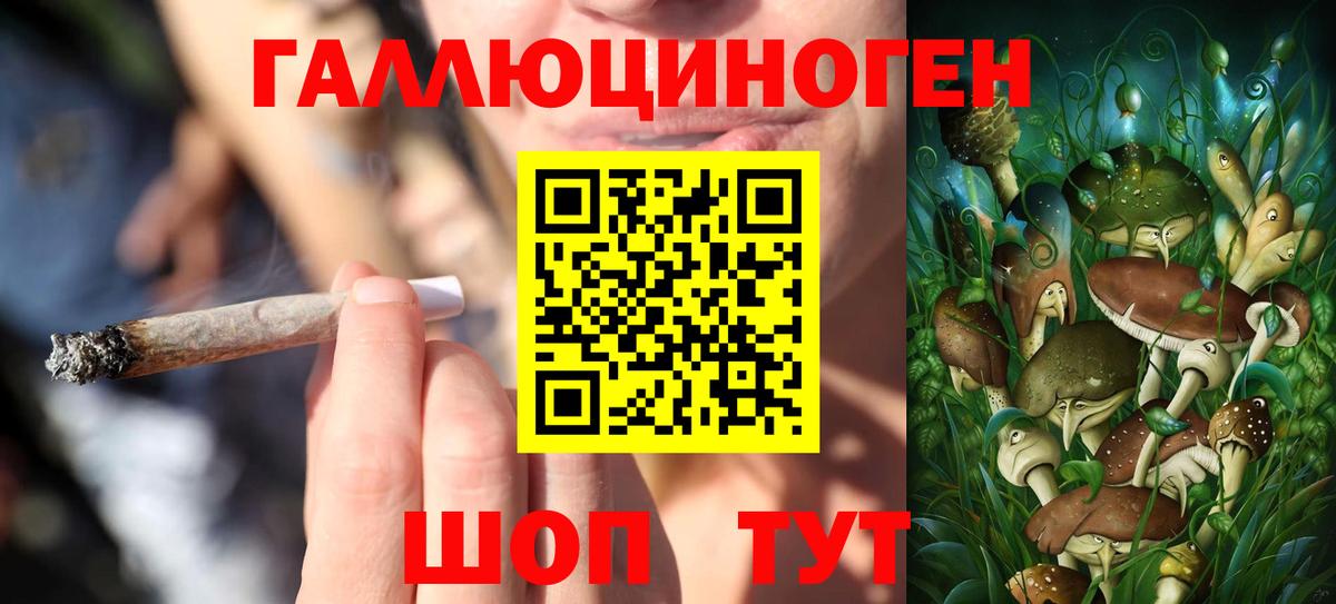 Галлюциногенные грибы мухоморы  купить наркотик  Сочи  Вход с VPN 